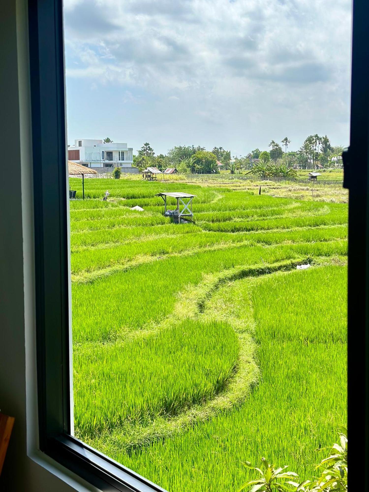Villa In Seminyak Villa Mitra Dua Ricefield View Relax เกอโรโบกัน ภายนอก รูปภาพ